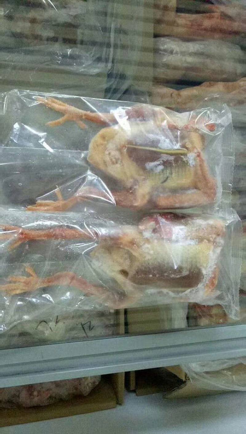 乳鸽，鹌鹑。厂家直销品质保证。