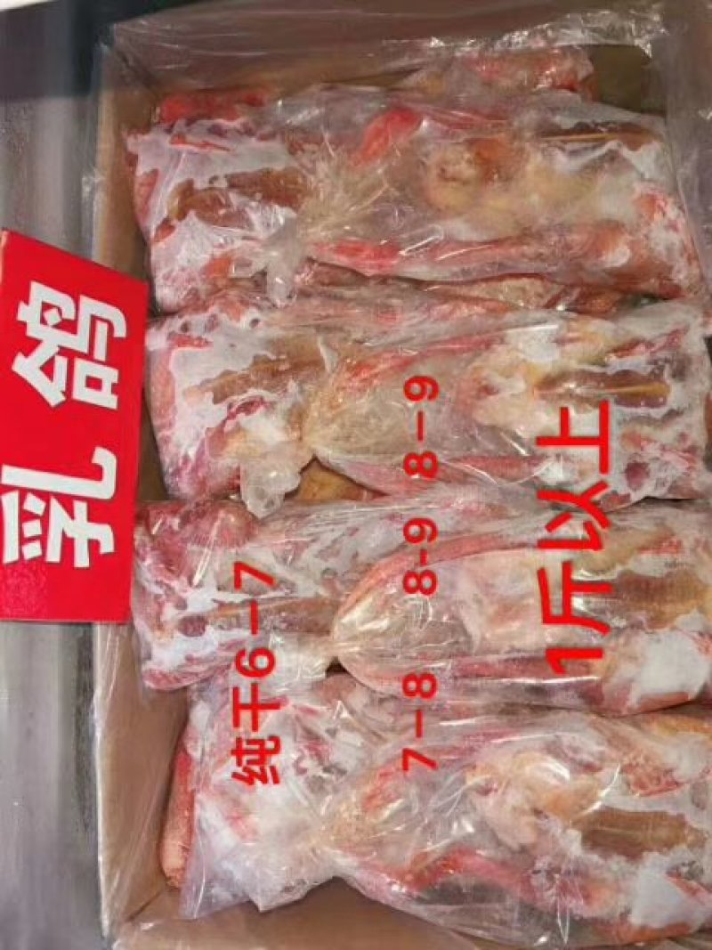 乳鸽，鹌鹑。厂家直销品质保证。