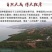 奉节脐橙新鲜橙子2O斤小果现摘包邮