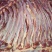 养殖场直供现杀新鲜马肉带皮马肉