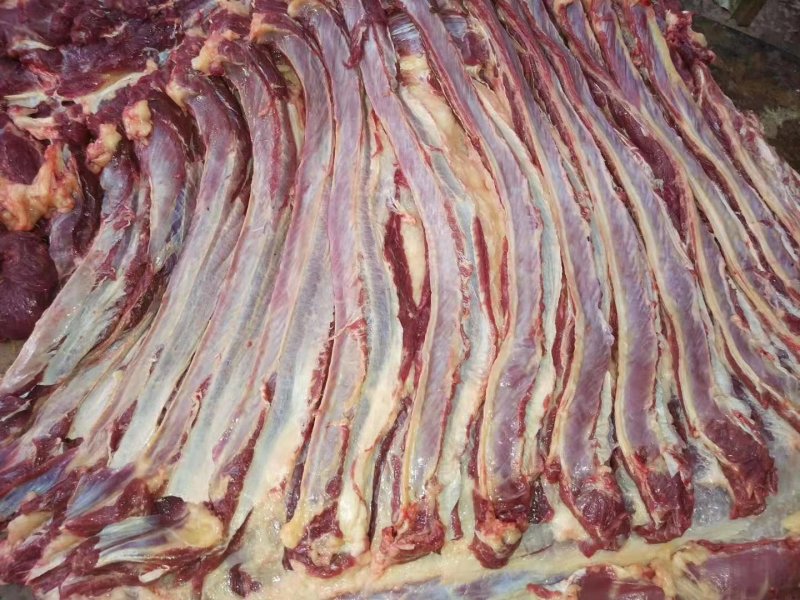 养殖场直供现杀新鲜马肉带皮马肉