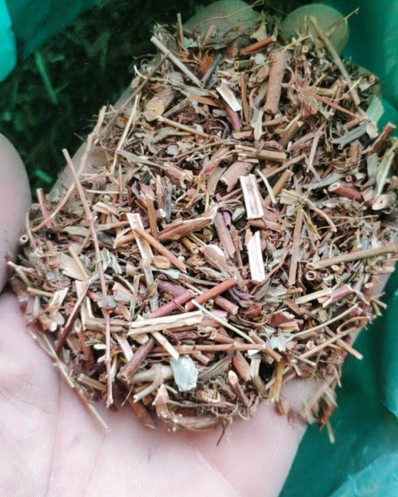 贯叶金丝桃纯干货过筛货货好量大代抓各种药方