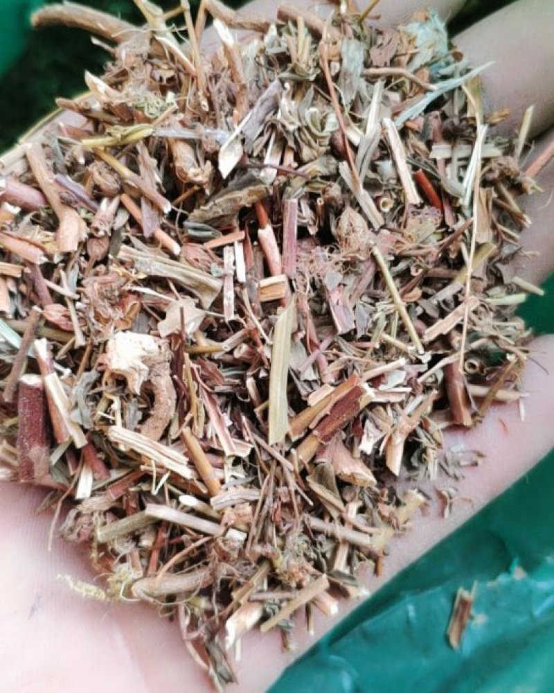 贯叶金丝桃纯干货过筛货货好量大代抓各种药方