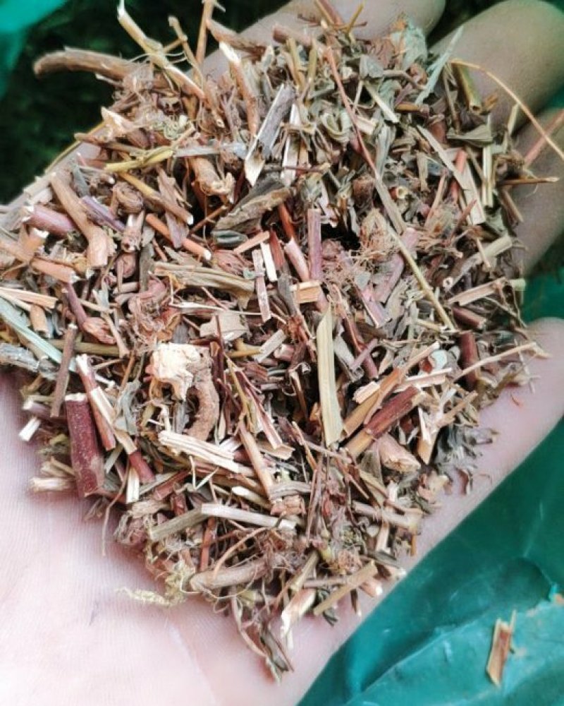 贯叶金丝桃纯干货过筛货货好量大代抓各种药方