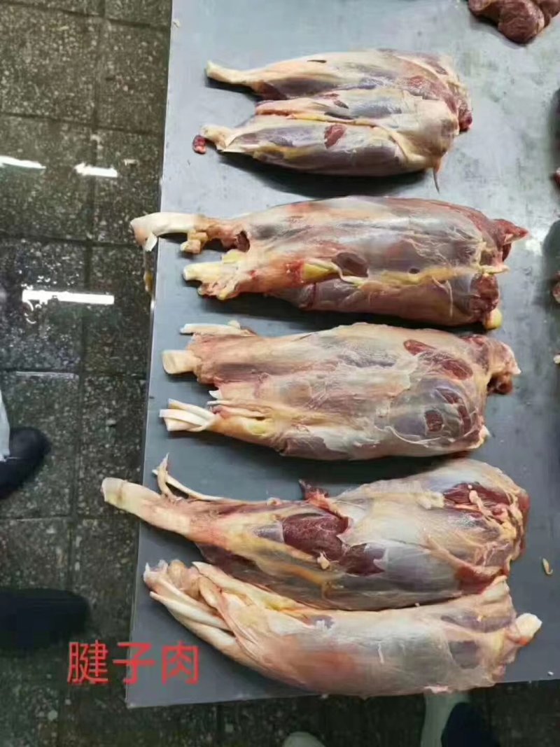 精品精修去油国产马腱子纯腱子头