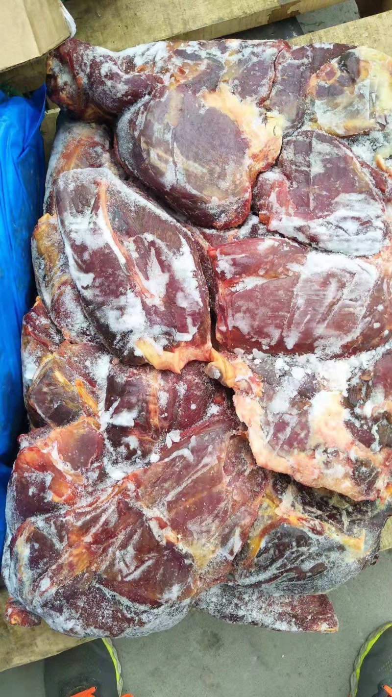 精品精修去油国产马腱子纯腱子头