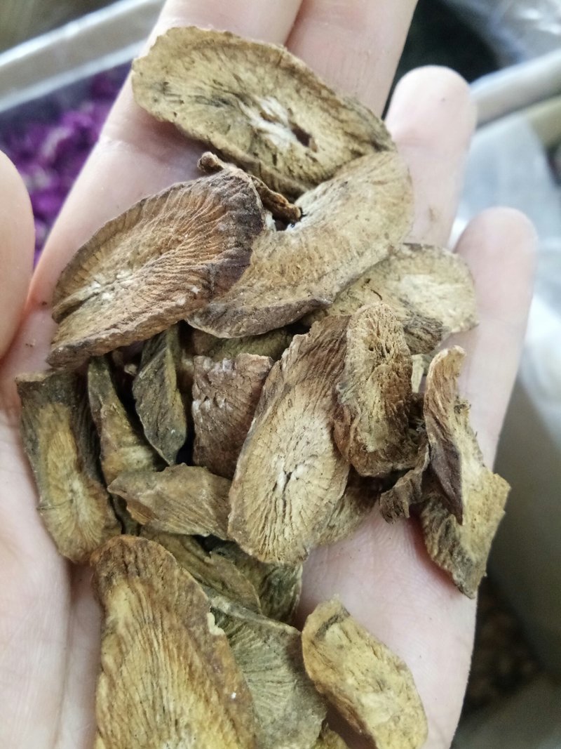 牛蒡根山东新鲜野生干品无硫熏泡水包邮