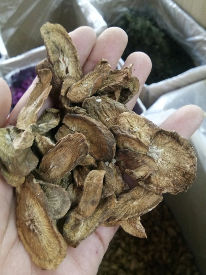牛蒡根山东新鲜野生干品无硫熏泡水包邮