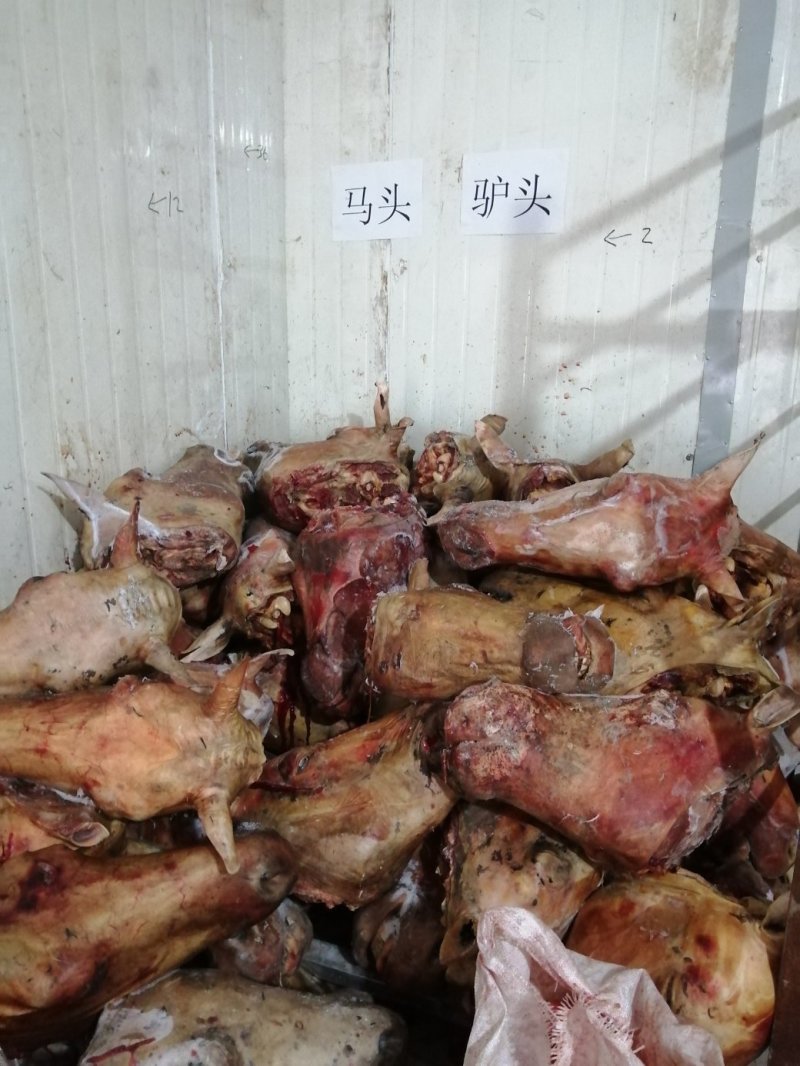 自加工水退毛带皮全套马头