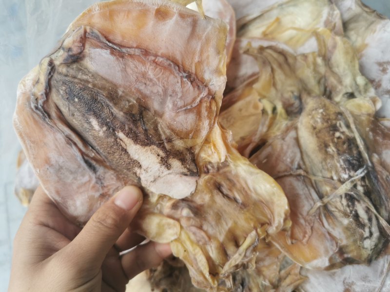 A1优质淡干大墨鱼，有视频看