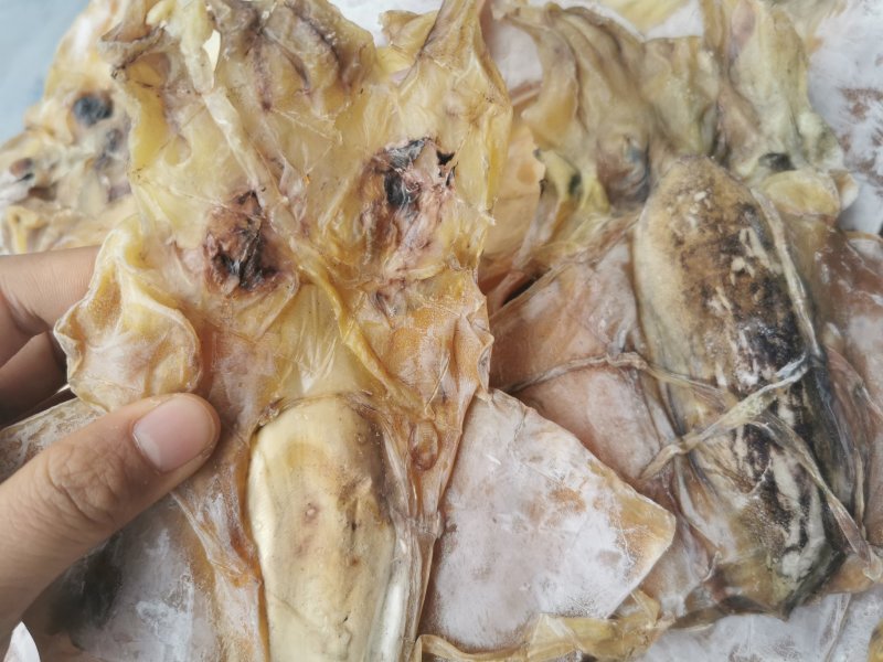 A1优质淡干大墨鱼，有视频看