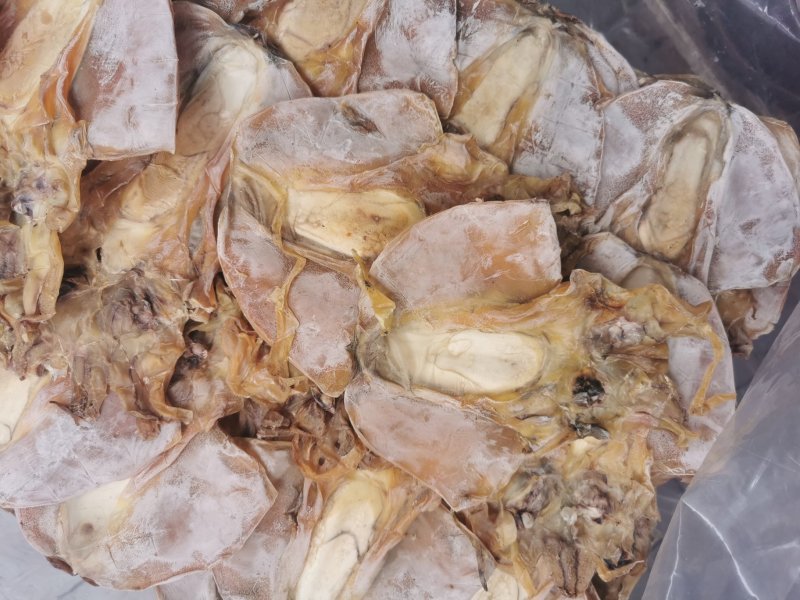 A1优质淡干大墨鱼，有视频看