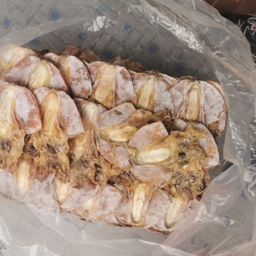 A1优质淡干大墨鱼，有视频看