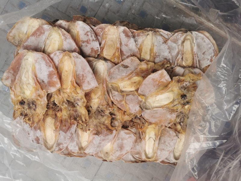 A1优质淡干大墨鱼，有视频看
