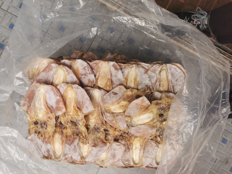 A1优质淡干大墨鱼，有视频看