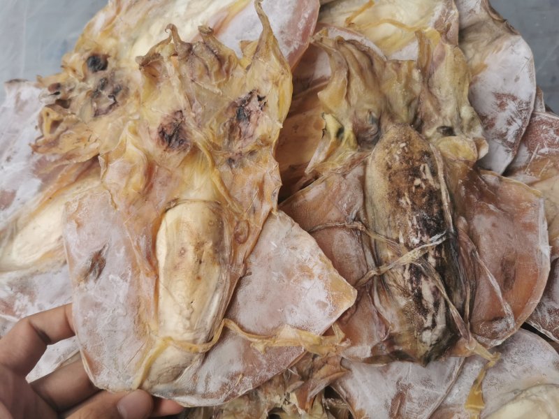 A1优质淡干大墨鱼，有视频看