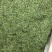 【峨眉雪芽】口感，芽坯，汤色都不错，支持全囯一件代发