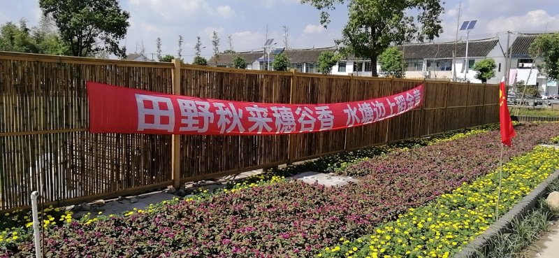 松江大米