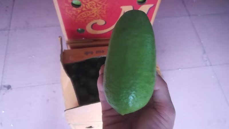大量上市台湾无籽香水青柠