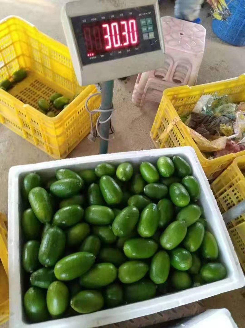 大量上市台湾无籽香水青柠