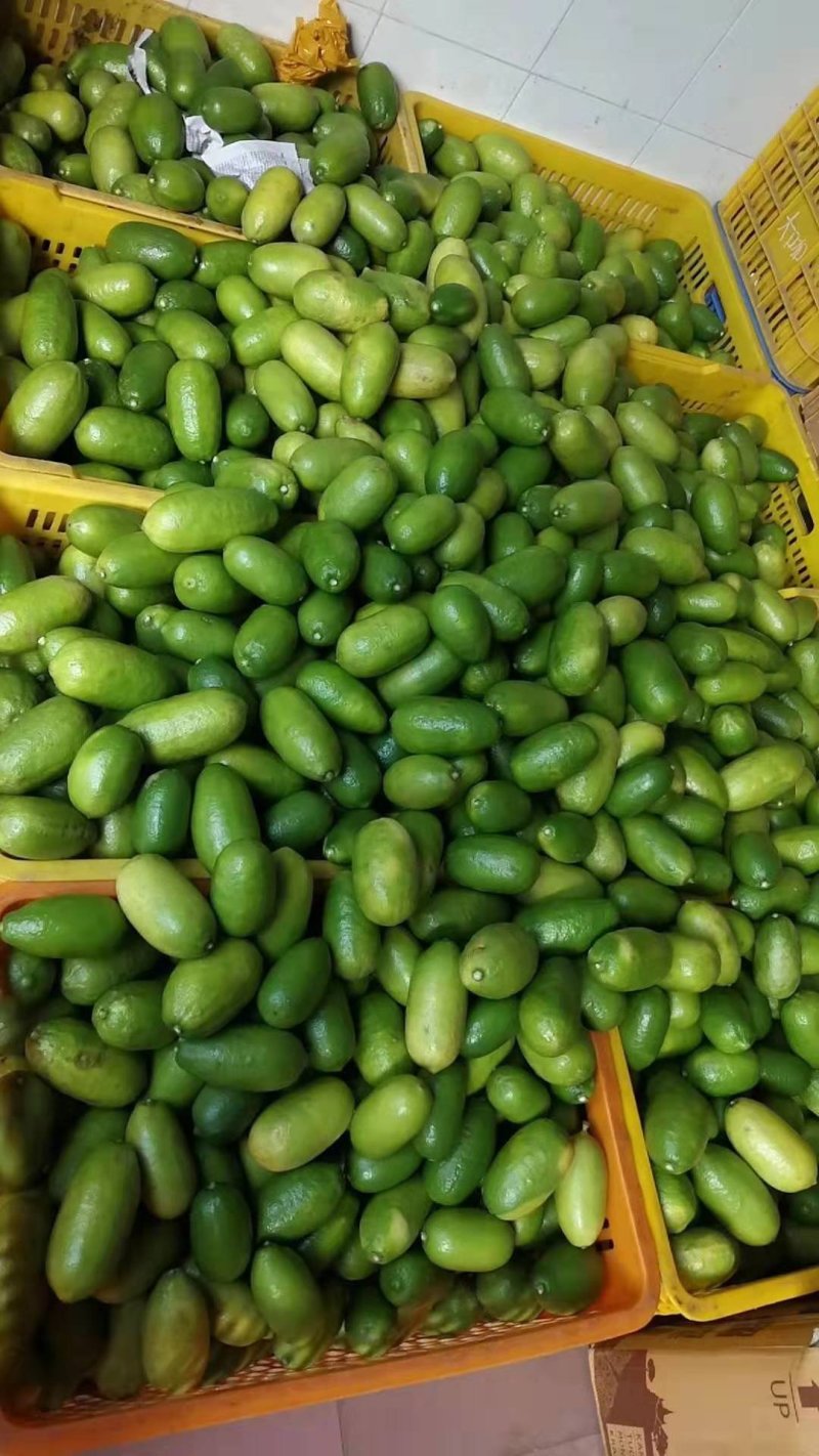 大量上市台湾无籽香水青柠