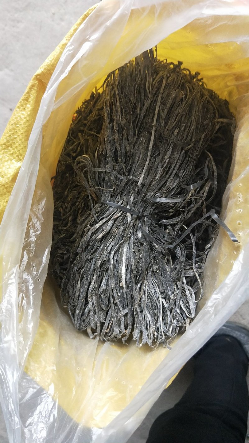 福建霞浦无沙纯青海带长丝大促销