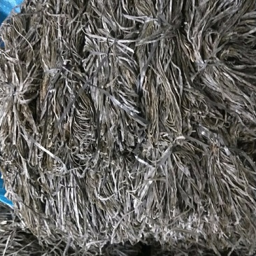 福建霞浦无沙纯青海带长丝大促销