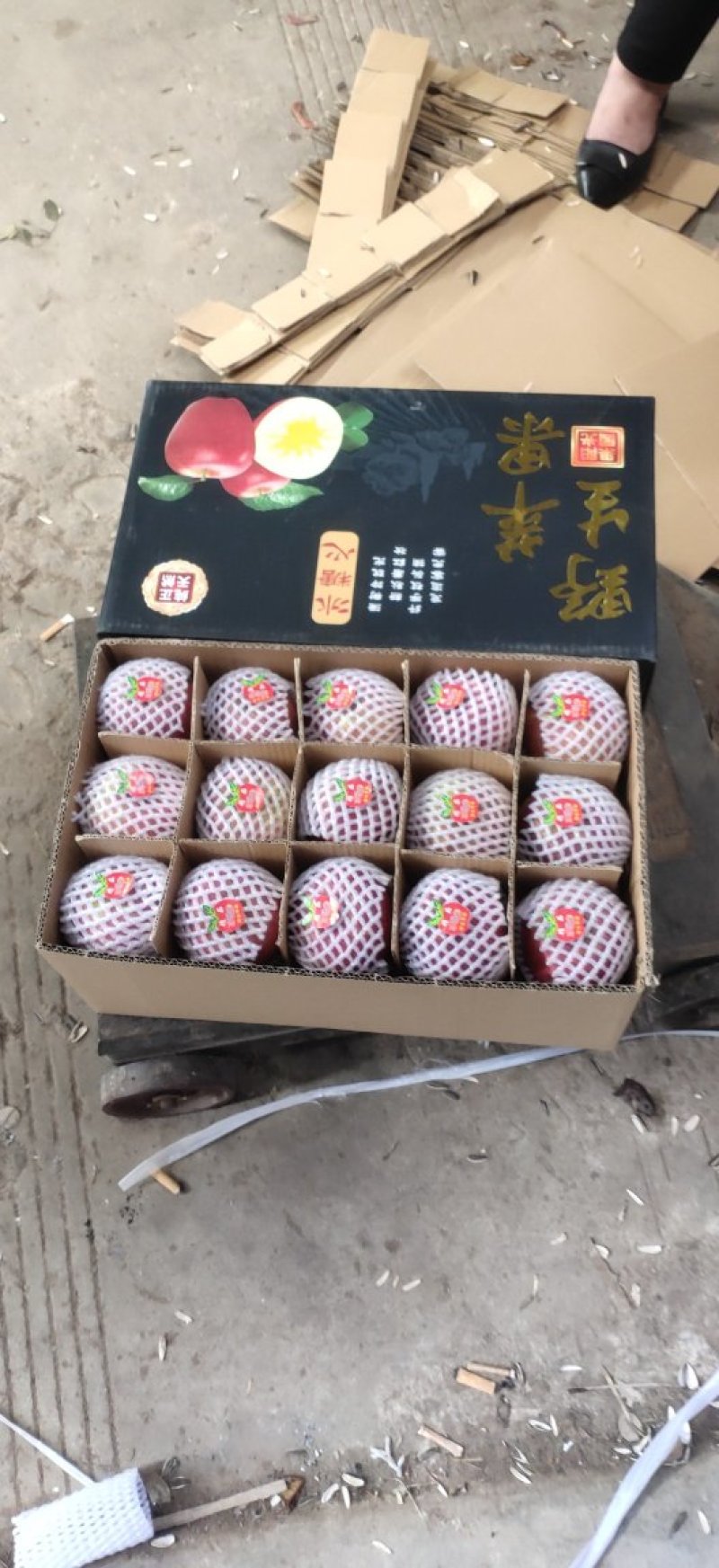 云南昭通原生态冰糖心红富士苹果，支持整车，快递，团购等