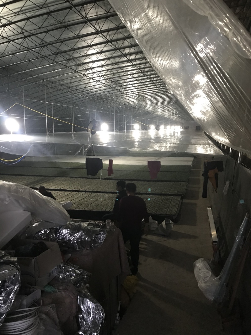 po二膜双防流滴二膜三防消雾流滴二膜大棚保温膜