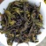 高山茶潮汕土山茶惠来八仙茶叶精选富硒乌山八仙茶1斤1袋
