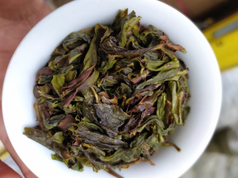 高山茶潮汕土山茶惠来八仙茶叶精选富硒乌山八仙茶1斤1袋