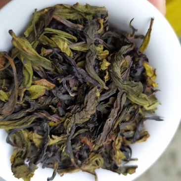 高山茶潮汕土山茶惠来八仙茶叶精选富硒乌山八仙茶1斤1袋