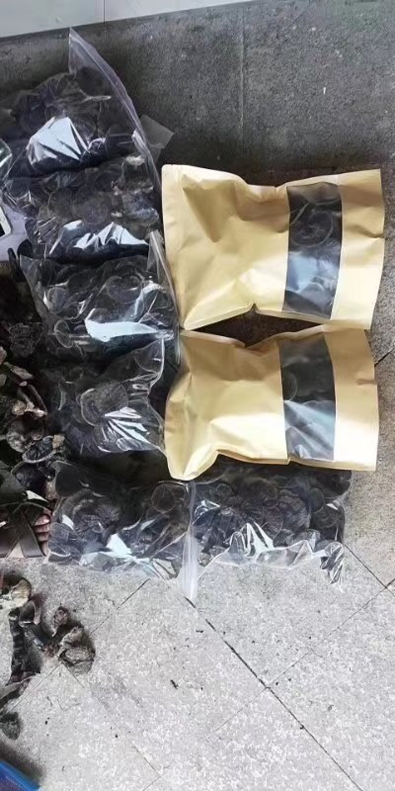 中小灵芝，野生灵芝。伞面6CM以下