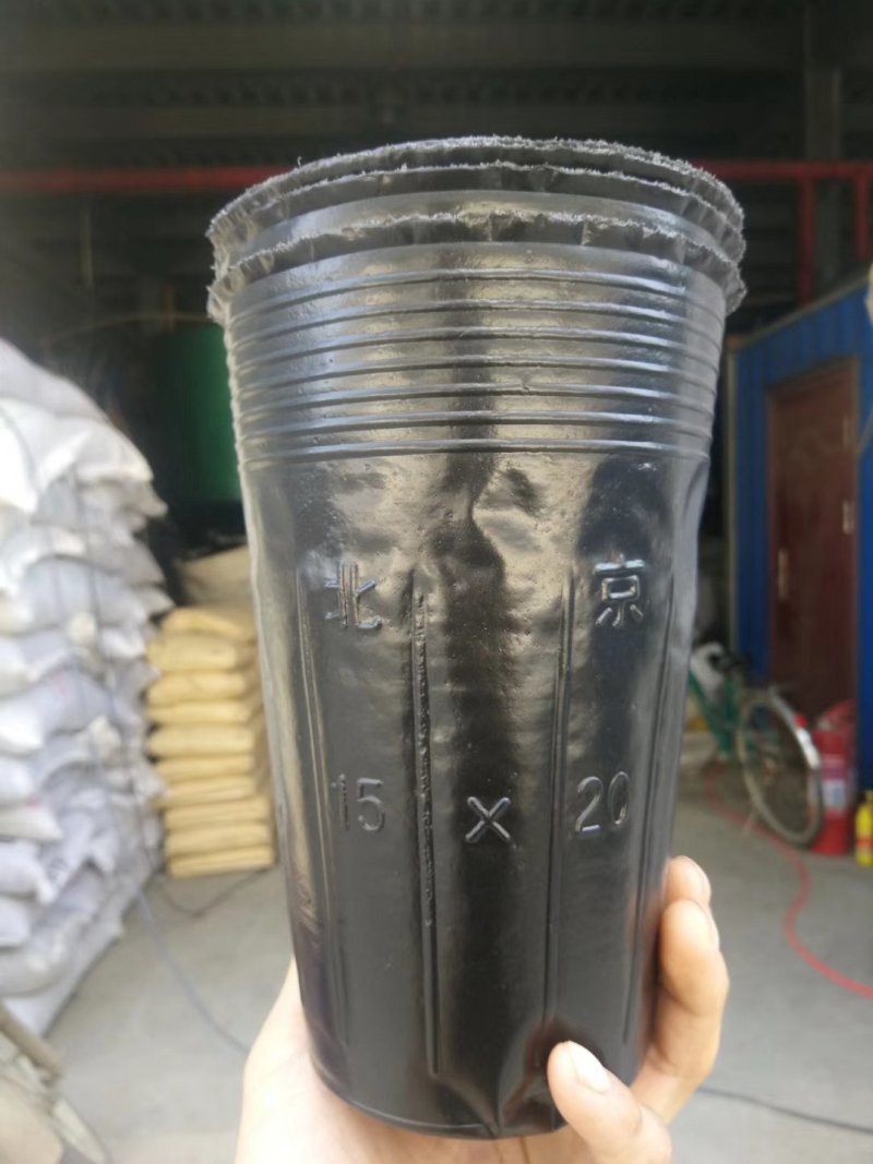 育苗杯21×21/2000个一件，9分一个。包邮到家！