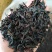 大红袍茶叶武夷岩茶传统贡香炭焙浓香型肉桂大红袍茶熟茶1袋