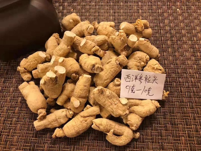 【特别推荐】各种规格长白山精品西洋参粒头（短体）