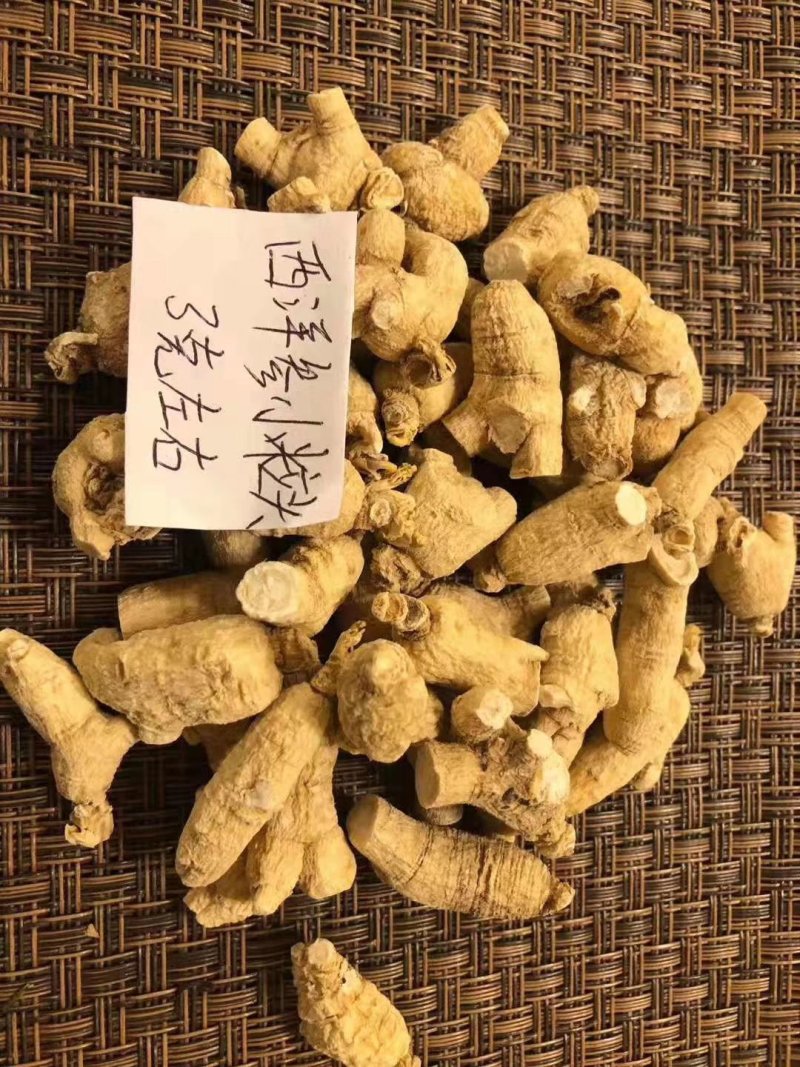 【特别推荐】各种规格长白山精品西洋参粒头（短体）