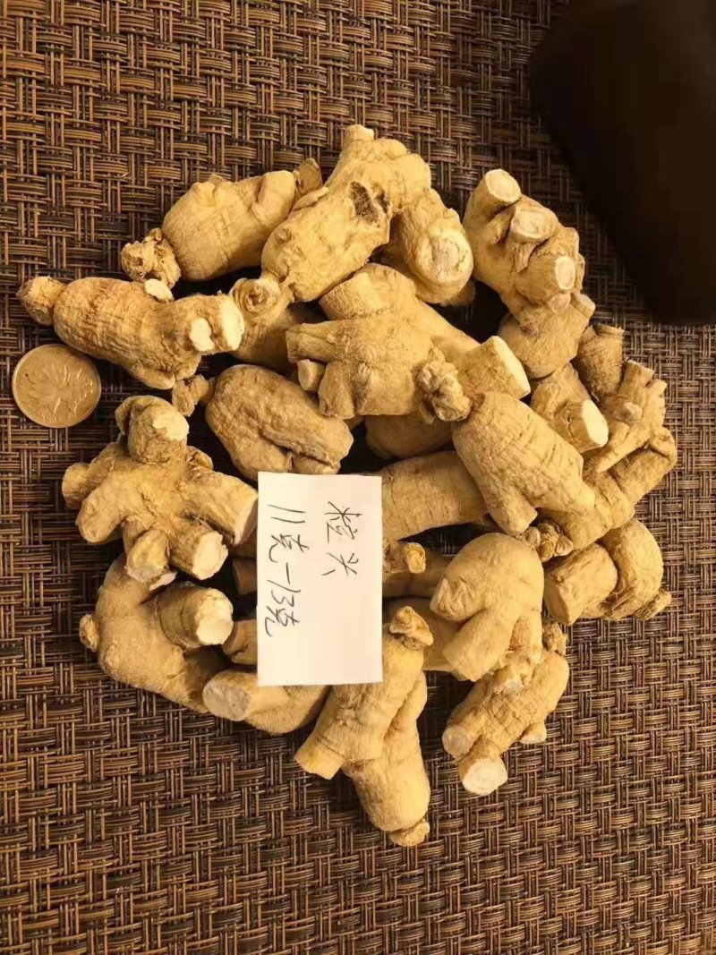 【特别推荐】各种规格长白山精品西洋参粒头（短体）