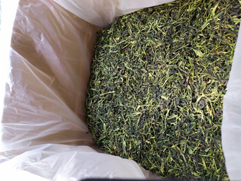 鸭屎香单枞茶生茶潮州凤凰单枞茶抽湿鸭屎香单丛生茶1袋1斤