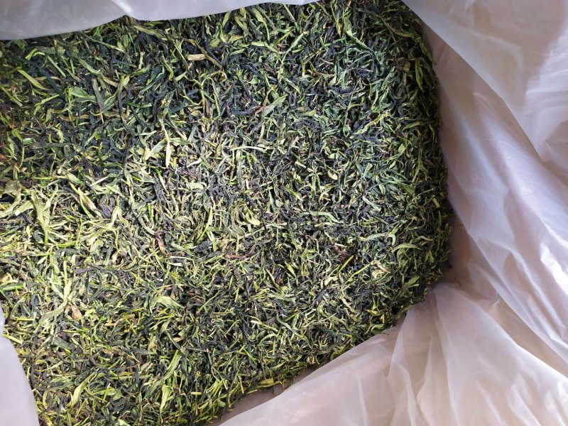 鸭屎香单枞茶生茶潮州凤凰单枞茶抽湿鸭屎香单丛生茶1袋1斤