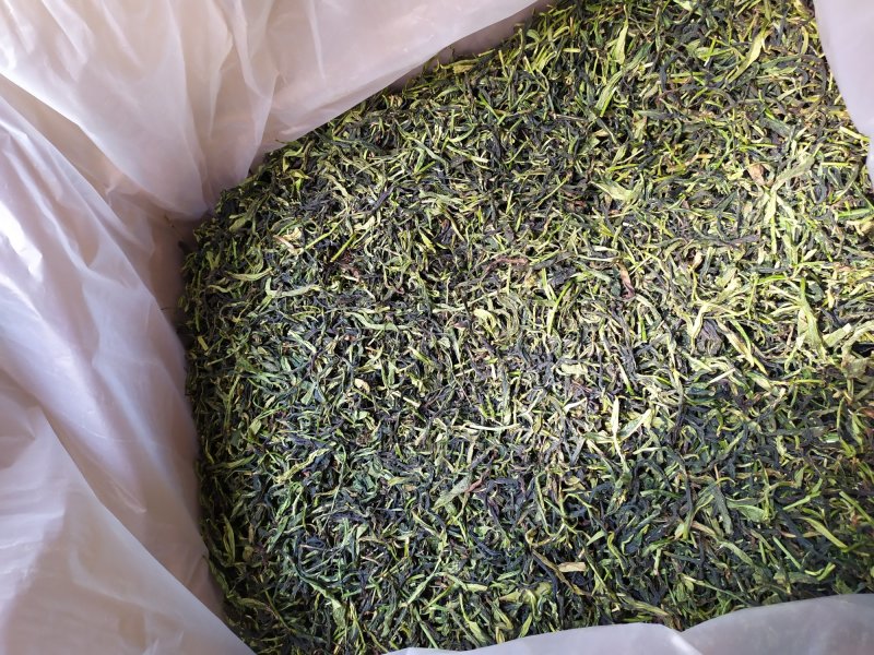 鸭屎香单枞茶生茶潮州凤凰单枞茶抽湿鸭屎香单丛生茶1袋1斤
