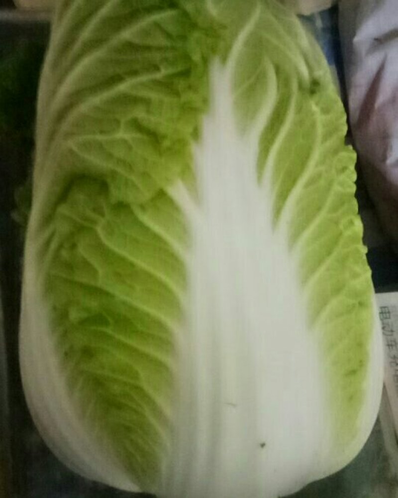 黄心大白菜