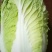 黄心大白菜