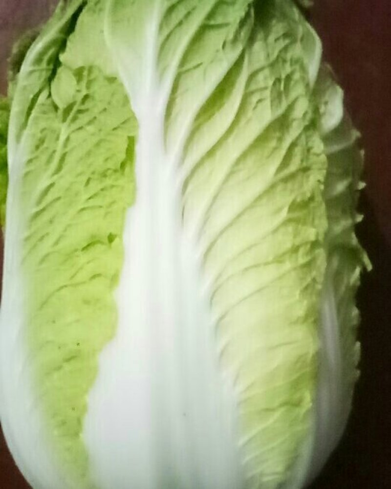 黄心大白菜
