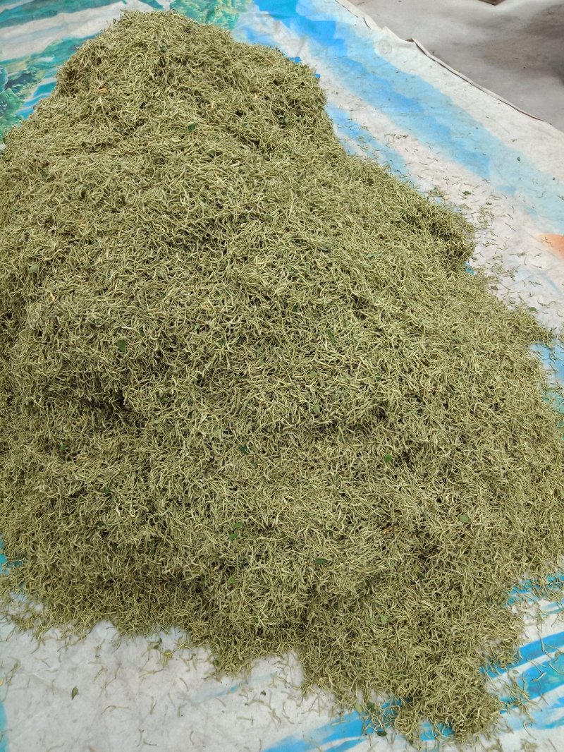 高含量金银花！头茬二茬花原产地直供！