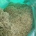高含量金银花！头茬二茬花原产地直供！