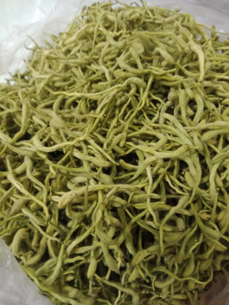 高含量金银花！头茬二茬花原产地直供！