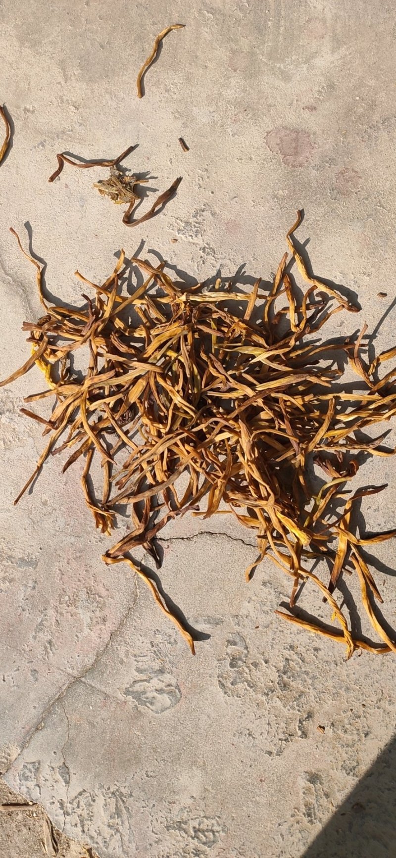 大荔黄花菜精品***金针菜产地直供无公害农家菜
