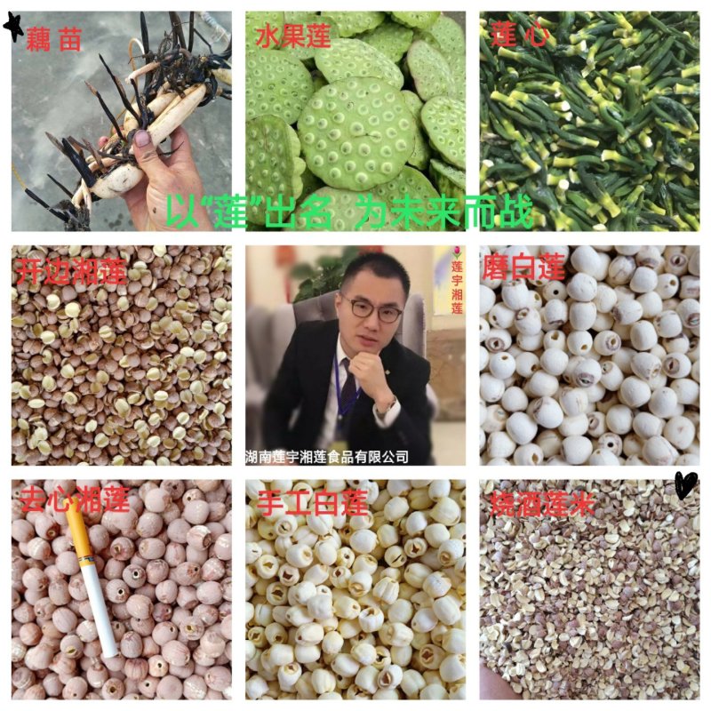 湖南湘莲大颗粒红莲实心湘莲颜色鲜品质好粒粒饱满
