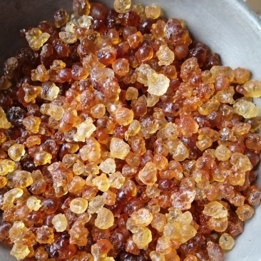 【有好货】桃胶湖北随州产地直发一斤装包邮量大从优